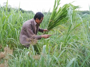 Chồng mù nuôi vợ ung thư   