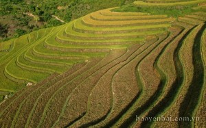 Đoàn ban, ngành tỉnh viếng Đại lão Hoà thượng Thích Phổ Tuệ- Đức Pháp chủ Hội đồng Chứng minh Giáo hội Phật giáo Việt Nam 