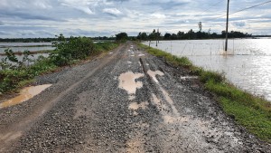 Châu Thành: Cần đầu tư nâng cấp đồng bộ Đường huyện 5 và cầu Bến Cây Ổi   