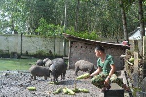 Đại đội 1, Ban CHQS huyện Tân Châu: Điểm sáng xây dựng doanh trại chính quy xanh, sạch, đẹp 