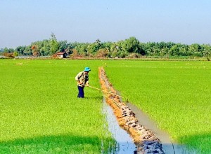 Thông tin kinh tế trong tỉnh 