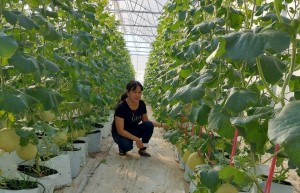 Hỗ trợ tiêu thụ sản phẩm tự làm cho hội viên dịp tết 