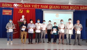 Hội Nông dân xã Cầu Khởi: Giải ngân dự án trồng tre lấy măng 