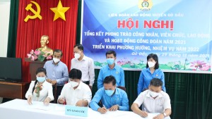 Năm 2021: Hội Nông dân huyện Gò Dầu vận động Quỹ hỗ trợ Nông dân được gần 260 triệu đồng 