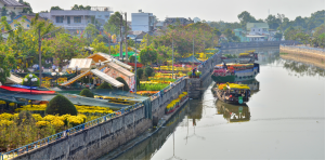 Tập trung phòng, chống dịch, tạm dừng lễ hội, không bắn pháo hoa 