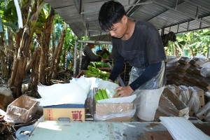 Tạm dừng tiếp nhận phương tiện chở hoa quả tươi bằng đường bộ lên cửa khẩu Lạng Sơn 