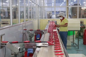 Tháo gỡ khó khăn thiếu hụt lao động cho các doanh nghiệp 