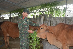 Phong trào thi đua quyết thắng phát triển toàn diện, có nhiều đổi mới 