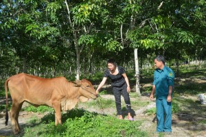 “An dân giữ đất biên cương” - Báo Tây Ninh Online