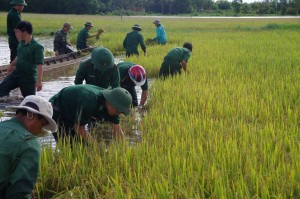 Học tập và làm theo Bác gắn với tu dưỡng, rèn luyện, thực hiện nhiệm vụ - Báo Tây Ninh Online