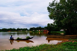 Mùa rau hẹ - Báo Tây Ninh Online