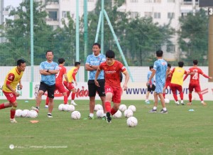 Đội tuyển Việt Nam tích cực chuẩn bị cho AFF Cup 2022 - Báo Tây Ninh Online