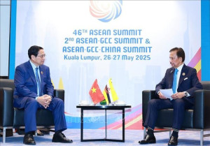 Quốc vương và Hoàng hậu Brunei sẽ thăm Việt Nam trong năm nay