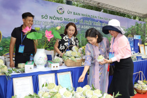 Đưa hàng Việt đến với người dân vùng nông thôn