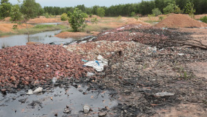 Xã Biên Giới, huyện Châu Thành:                                    Người dân bức xúc vì ô nhiễm môi trường từ việc đổ trái cây hư hỏng