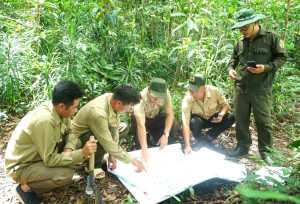 Ngăn chặn kịp thời nhiều vụ phá rừng