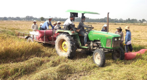 Tây Ninh: Phấn đấu sản lượng lúa đạt từ 3.770.000 tấn trở lên