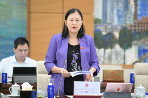 Các Ủy ban của Quốc hội sẽ tổ chức phiên giải trình về thuốc, thực phẩm giả